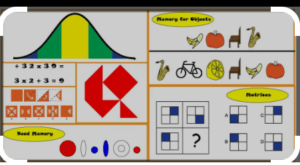 A Sample Stanford-Binet test (Intelligence Test)